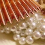 pearls in shell2